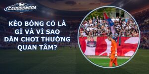 Kèo Bóng Cỏ Là Gì