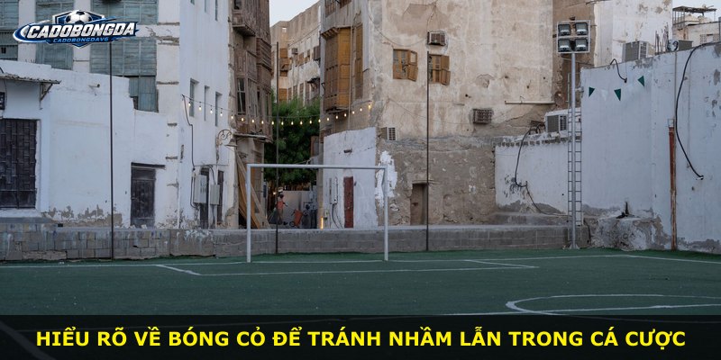 Hiểu rõ về bóng cỏ để tránh nhầm lẫn trong cá cược