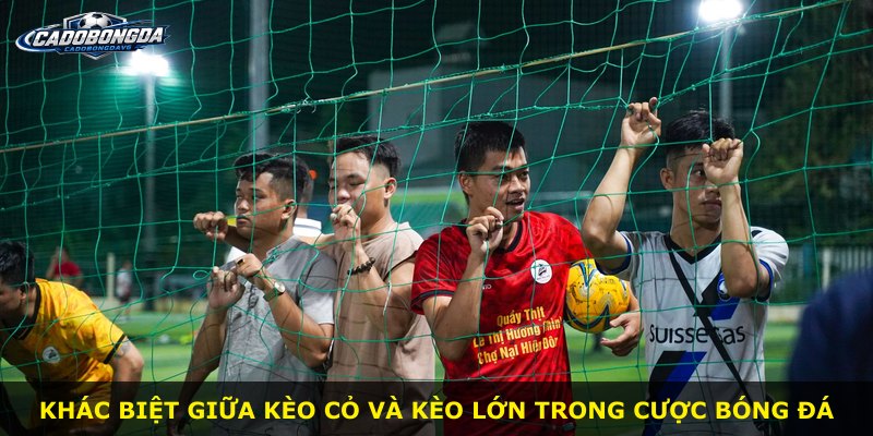 Khác biệt giữa kèo cỏ và kèo lớn trong cược bóng đá