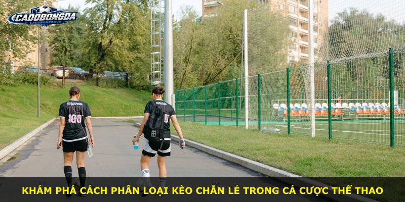 Khám phá cách phân loại kèo chẵn lẻ trong cá cược thể thao