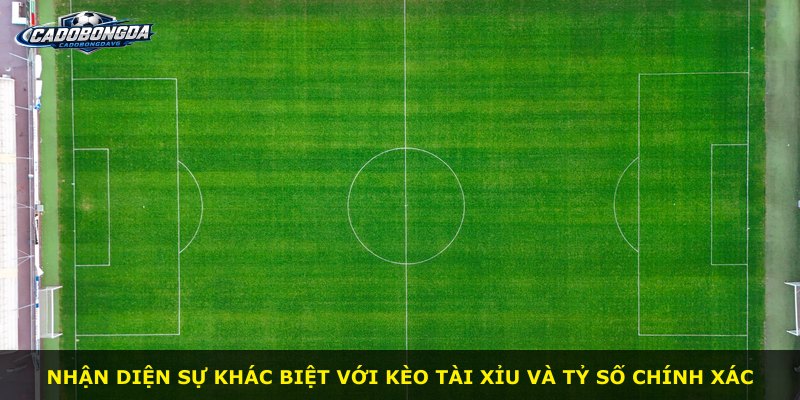 Nhận diện sự khác biệt với kèo tài xỉu và tỷ số chính xác