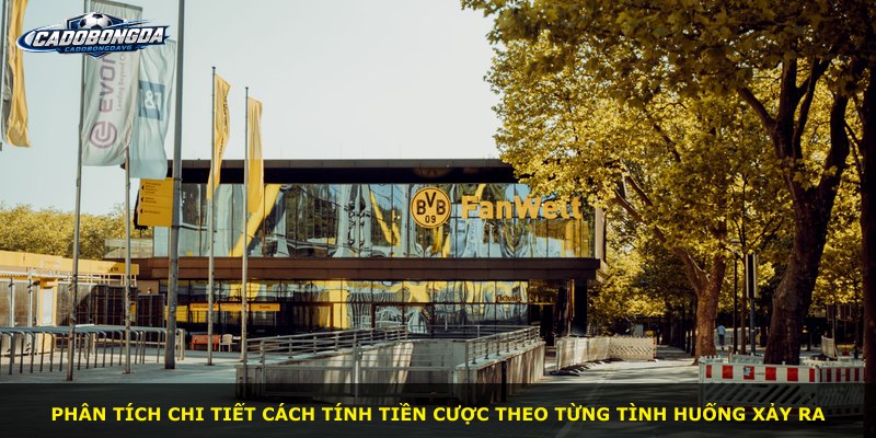 Phân tích chi tiết cách tính tiền cược theo từng tình huống xảy ra