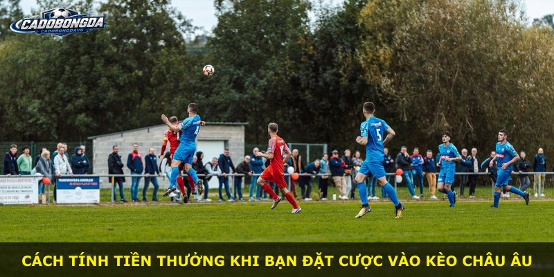 Cách tính tiền thưởng khi bạn đặt cược vào Kèo Châu Âu