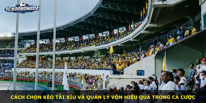 Cách chọn kèo tài xỉu và quản lý vốn hiệu quả trong cá cược