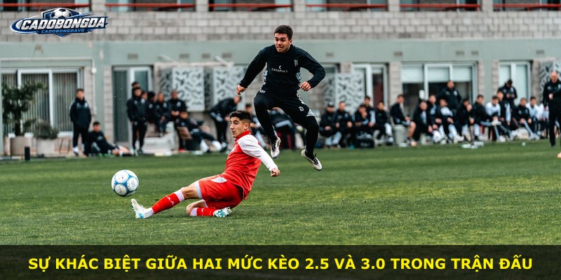 Sự khác biệt giữa hai mức kèo 2.5 và 3.0 trong trận đấu