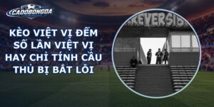 Kèo Việt Vị