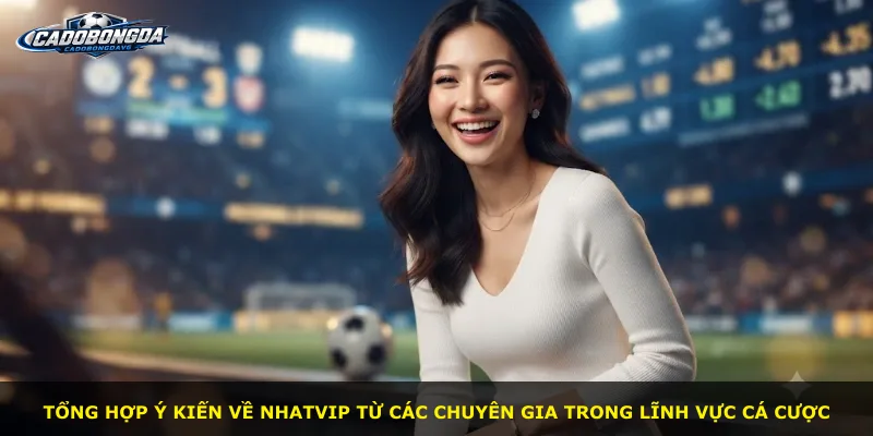 Tổng hợp ý kiến về Nhatvip từ các chuyên gia trong lĩnh vực cá cược