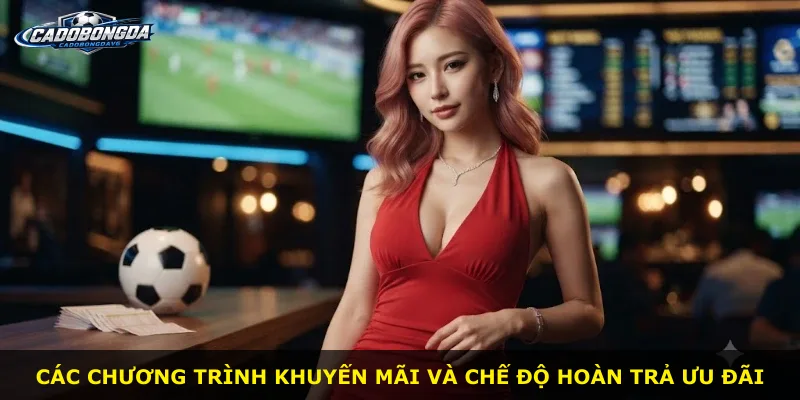 Các chương trình khuyến mãi và chế độ hoàn trả ưu đãi