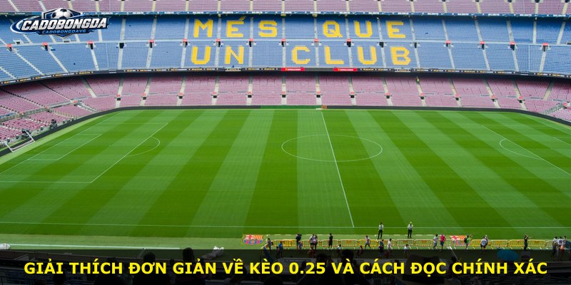 Giải thích đơn giản về kèo 0.25 và cách đọc chính xác