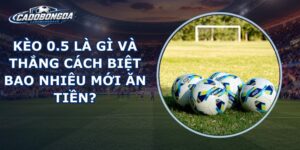 Kèo 0.5 Là Gì