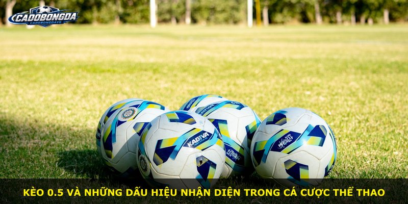 Kèo 0.5 và những dấu hiệu nhận diện trong cá cược thể thao