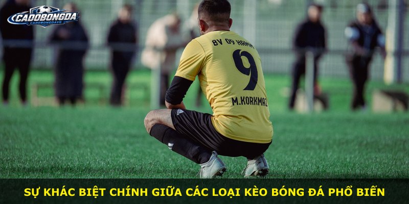 Sự khác biệt chính giữa các loại kèo bóng đá phổ biến