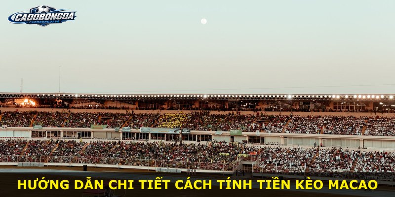 Hướng dẫn chi tiết cách tính tiền kèo Macao