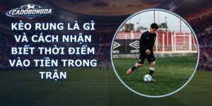 Kèo Rung Là Gì