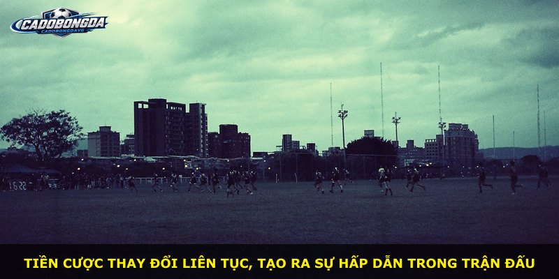 Tiền cược thay đổi liên tục, tạo ra sự hấp dẫn trong trận đấu