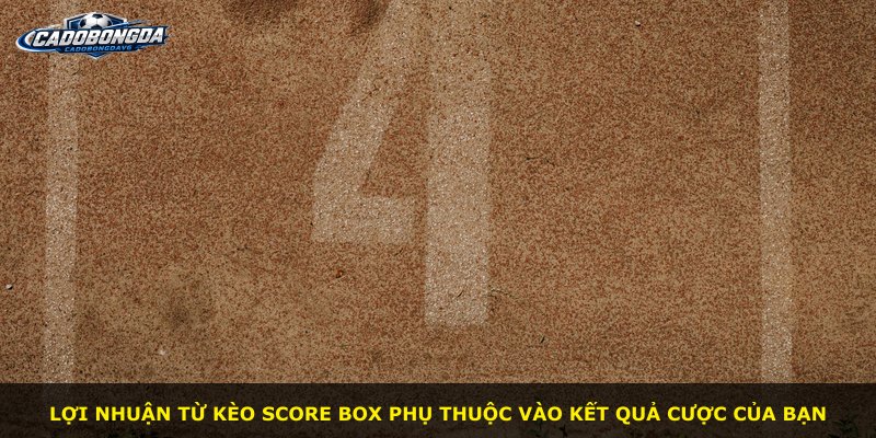 Lợi nhuận từ kèo Score Box phụ thuộc vào kết quả cược của bạn