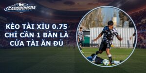 Kèo Tài Xỉu 0.75