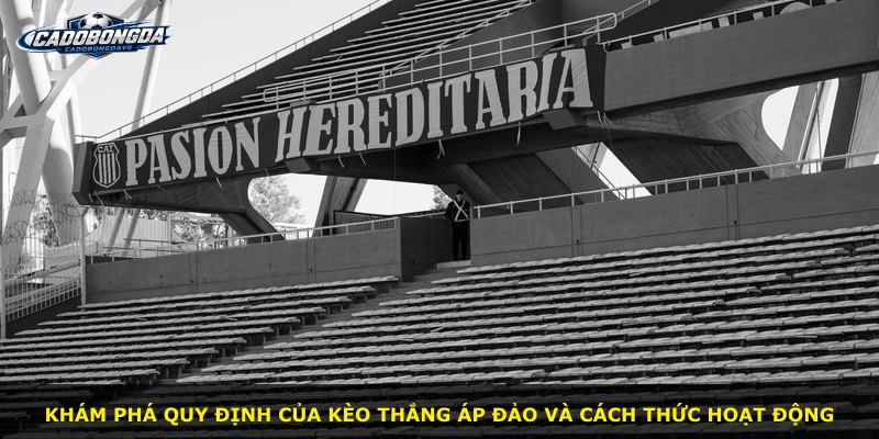 Khám phá quy định của Kèo Thắng Áp Đảo và cách thức hoạt động