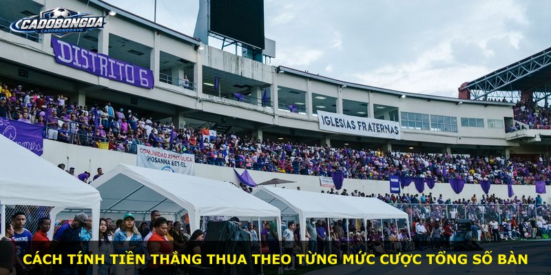 Cách tính tiền thắng thua theo từng mức cược tổng số bàn