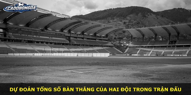 Dự đoán tổng số bàn thắng của hai đội trong trận đấu