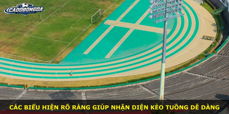 Các biểu hiện rõ ràng giúp nhận diện Kèo Tuồng dễ dàng