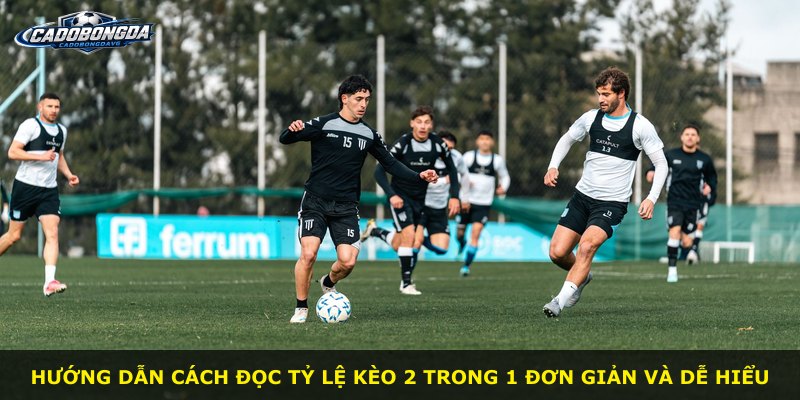 Hướng dẫn cách đọc tỷ lệ kèo 2 trong 1 đơn giản và dễ hiểu